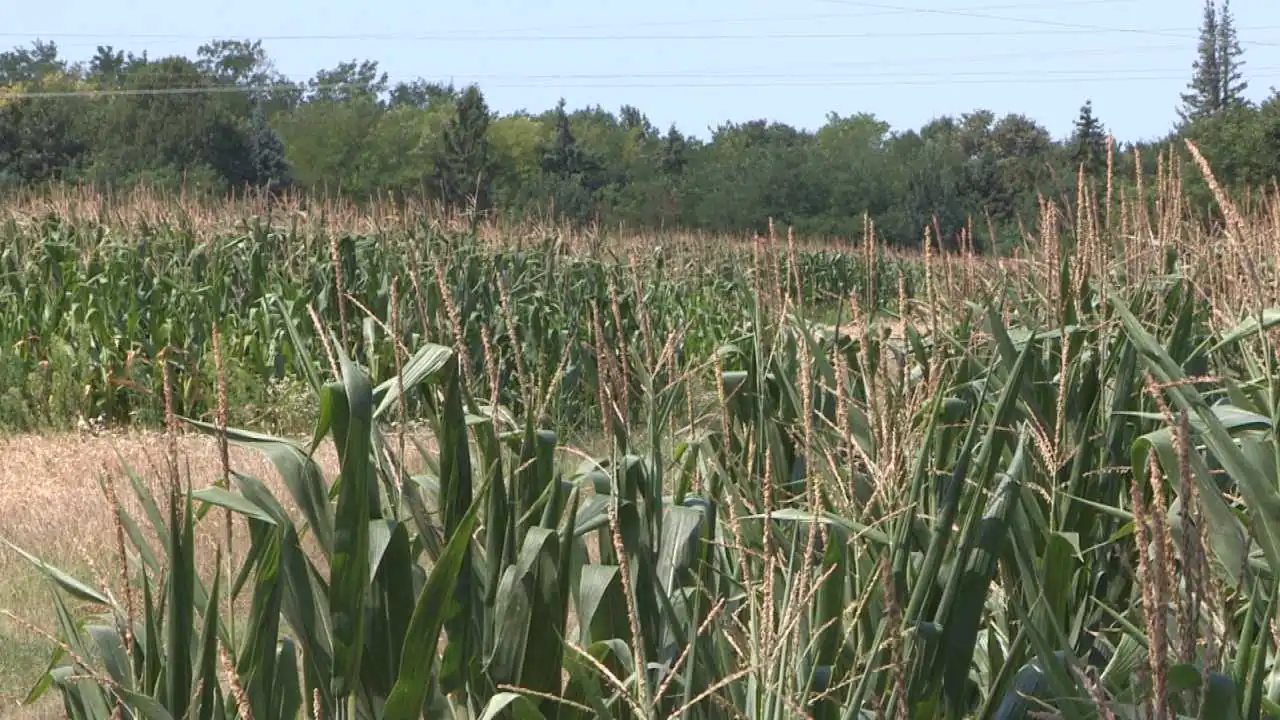 AGRÁRGAZDASÁGI VÁLTOZÁSOK