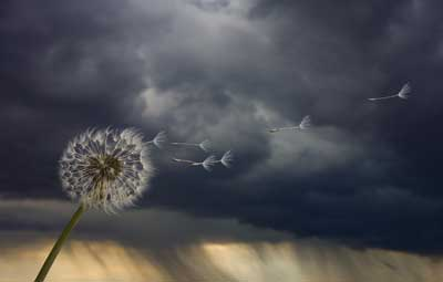 A végelszámolás menete lépésről lépésre – mit kell tennie a tulajdonosnak